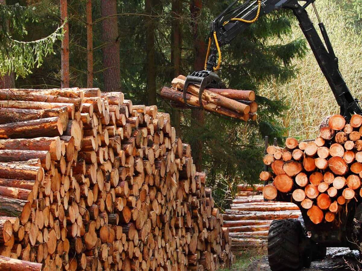 kormoswood logging