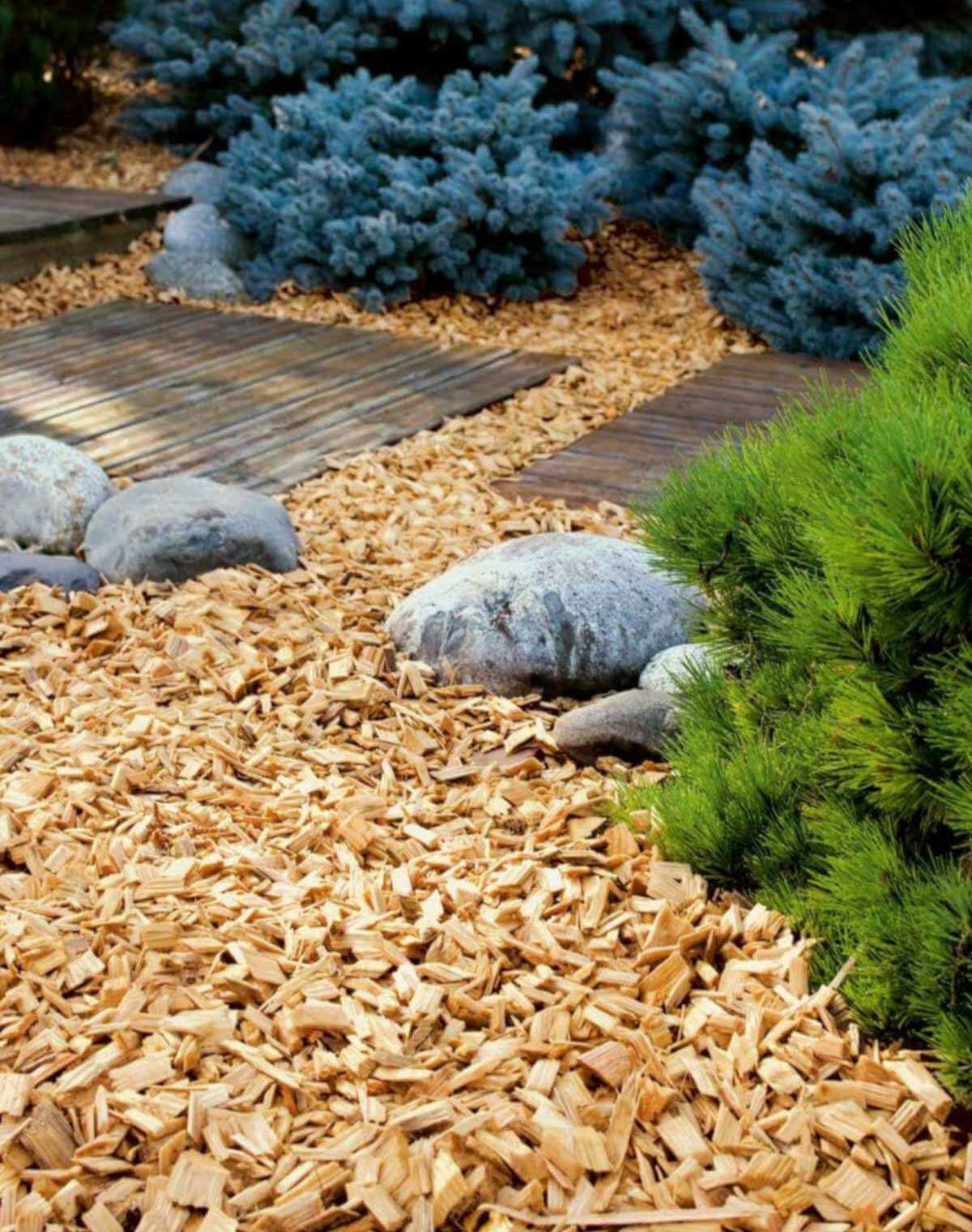 Παραγωγή wood chips
